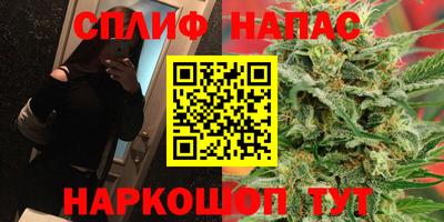 Альфа ПВП Дубна