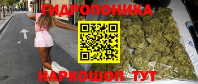 Альфа ПВП Дубна