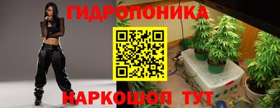 Альфа ПВП Дубна